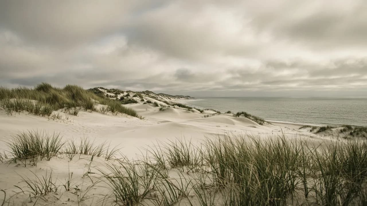 Dunas y horizonte del Atlántico argentino bajo cielo suave
